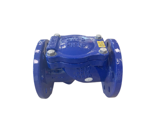 DI swing check valve for drinking water supply
