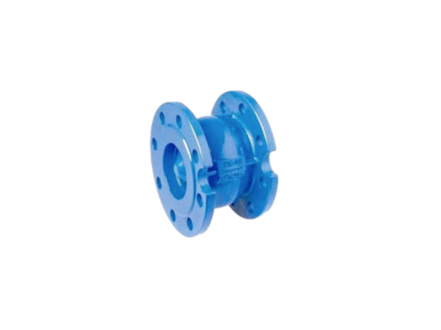Axial Disc Check Valve with Flanges